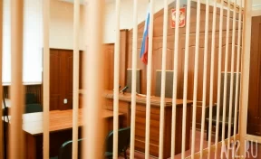 Суд арестовал обвиняемого в убийстве двух школьниц в Киселёвске