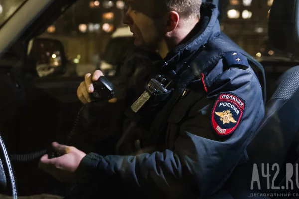 Пропавшую в тайге под Красноярском семью с ребёнком ищут более 350 человек