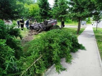 Фото: В Кемерове автомобиль сломал дерево и перевернулся 1