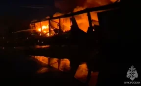 В Ленобласти загорелся ангар с картоном, площадь пожара составила 1 200 квадратов