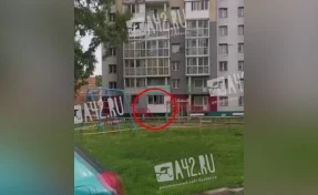 Кемеровчане сняли на видео повелительницу коршунов: жительница многоэтажки прикормила хищников