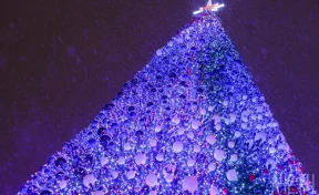 Нашедшему главную новогоднюю ёлку страны лесничему подарили автомобиль