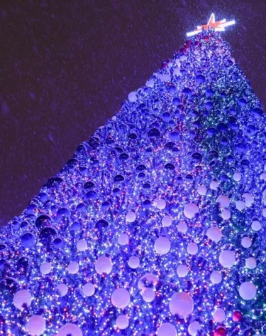 Нашедшему главную новогоднюю ёлку страны лесничему подарили автомобиль