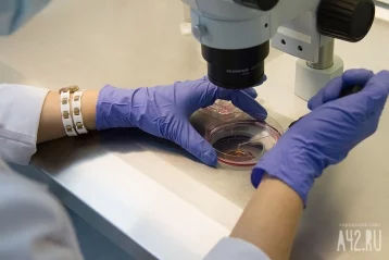 Фото: Учёные обнаружили связь между мутацией коронавируса и лечением плазмой 1