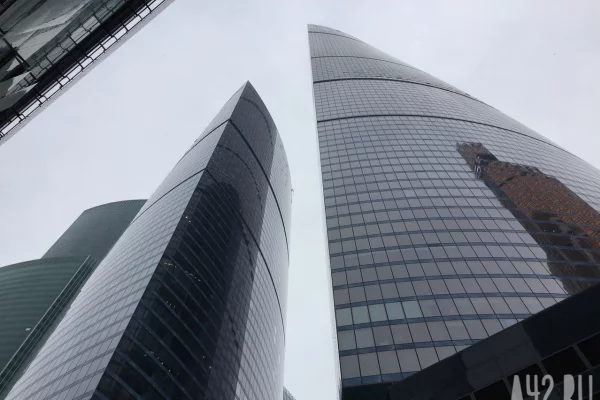 Смотрим за поведением кошки в Ермилов день: приметы на 26 января