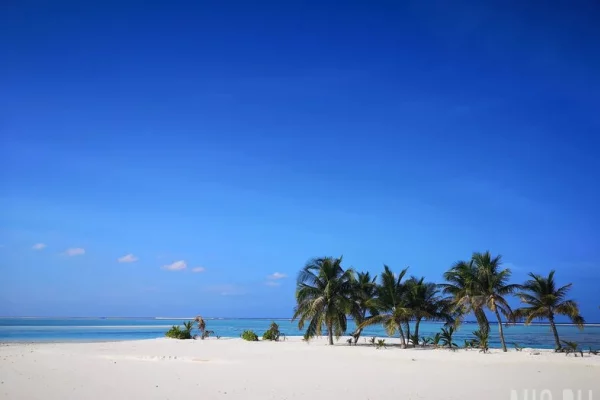 Эксперт Подольская рассказала, в каком случае работнику могут отказать в отпуске