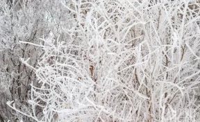 Мороз вернётся в Кузбасс 26 января