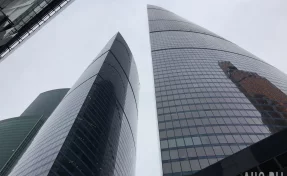 Смотрим за поведением кошки в Ермилов день: приметы на 26 января