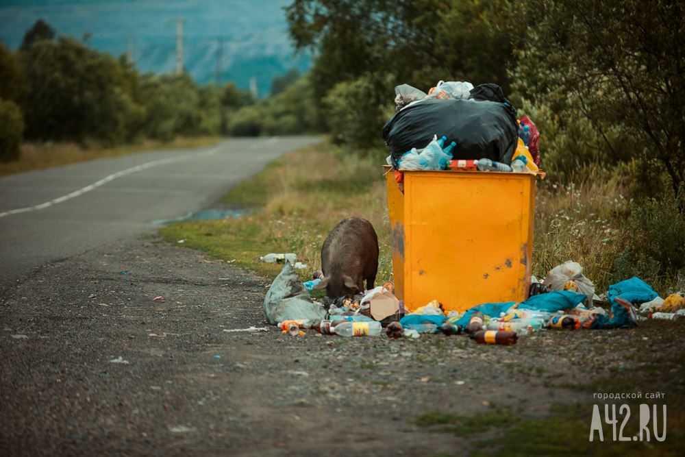 Кемеровчанин пожаловался на валяющийся полгода во дворе дома мусор