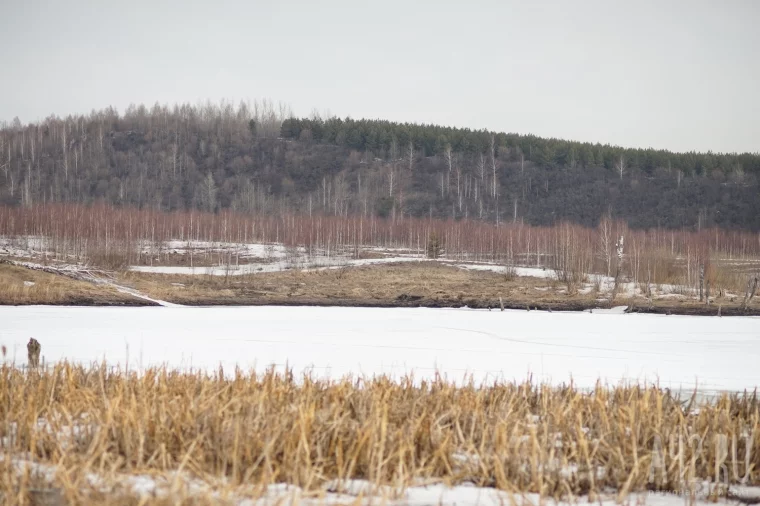 Фото: Перестрелки с охотниками и медведи: как переехать жить в лес у озера за 500 000 рублей 7