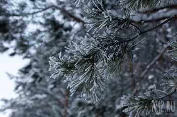 Фото: Синоптики спрогнозировали погоду в Кузбассе на 3 февраля 1