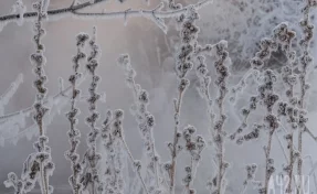 Мужчинам, два дня блуждавшим в 50-градусный мороз в Хабаровском крае, сделают пластику