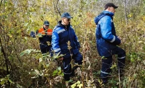 Пропавшего почти 2 недели назад кузбассовца нашли волонтёры