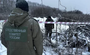 В Тюменской области мужчина расчленил знакомую и разбросал останки по городу