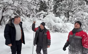Жителям деревни в Новокузнецком округе пообещали вернуть электричество до конца дня