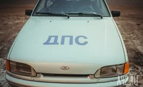 В Кузбассе пьяный водитель иномарки при виде машины ДПС притворился спящим