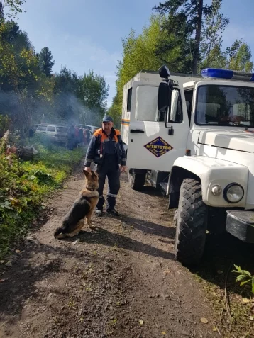Фото: В Кузбассе нашли двух заблудившихся в лесу мужчин  1