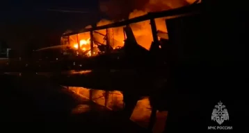 Фото: В Ленобласти загорелся ангар с картоном, площадь пожара составила 1 200 квадратов 1