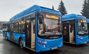 «Предстояло начать работу с нуля»: в «Питеравто» подвели итоги транспортной реформы в Новокузнецке