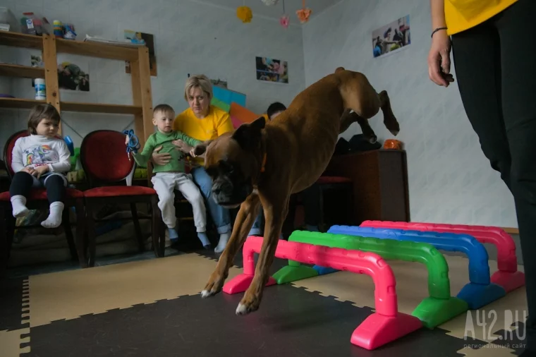 Фото: Доктор пёс. Как волонтёры с собаками учат детей с инвалидностью ходить и говорить 6