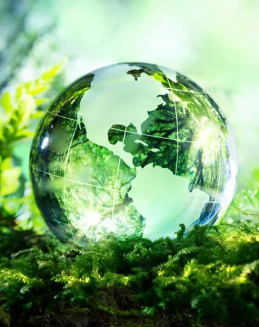 Вторая жизнь вещей: Фонд «Экология» РСХБ назвал главные технологические и потребительские тренды в рециклинге