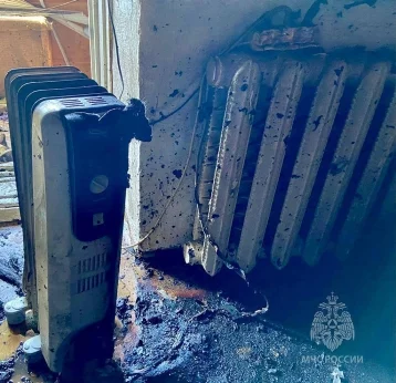 Фото: В Саранске из-за упавшего электрообогревателя начался пожар в квартире, погибли 8 кошек  1