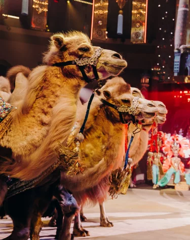 «Песчаную сказку» Гии Эрадзе покажут в Кемеровском цирке