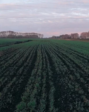 Афганистан предложил российским властям привлекать трудовых мигрантов