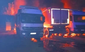 Ночью в Курской области сгорели пять грузовиков Mercedes-Benz