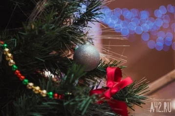 Фото: Новогодняя ёлка в подарок: под Кемеровом продают дом мечты за 60 млн рублей 1