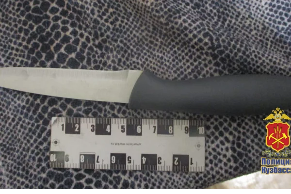 Кемеровчанка напала на мужа с ножом и ранила его 