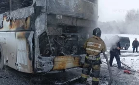 В МЧС сообщили подробности пожара в автобусе на трассе Кемерово — Новосибирск