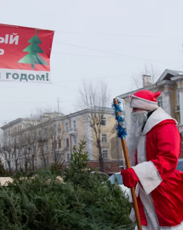 В Кемерове десятки ёлочных базаров начнут работать с 15 декабря