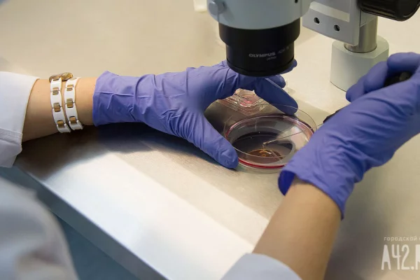  Врач назвала симптомы, которые указывают на болезни крови