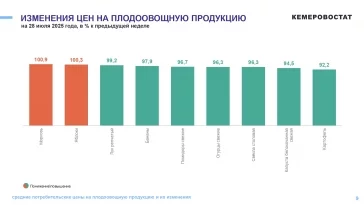 Фото: Кемеровостат: в Кузбассе за неделю картофель подешевел почти на 8% 2