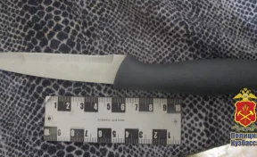 Кемеровчанка напала на мужа с ножом и ранила его 