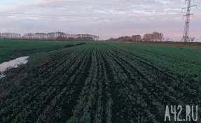 Афганистан предложил российским властям привлекать трудовых мигрантов