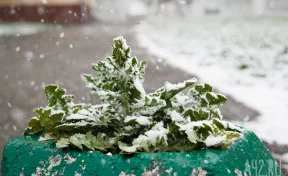 Вильфанд объяснил аномально тёплую погоду в Сибири