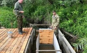 «Южный Кузбасс» восстанавливает ихтиофауну