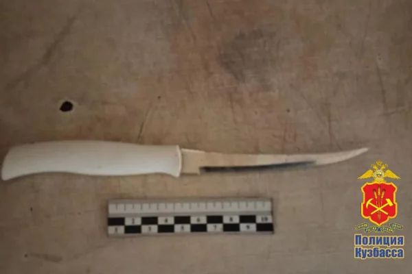 Находившуюся в федеральном розыске кемеровчанку задержали за поножовщину