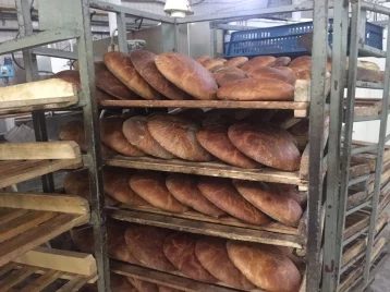 Фото: Старейший хлебзавод Кузбасса станет современным бережливым производством 1