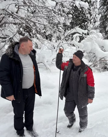 Жителям деревни в Новокузнецком округе пообещали вернуть электричество до конца дня
