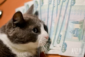 Фото: Российский пенсионер выиграл в лотерею 33 млн рублей 1