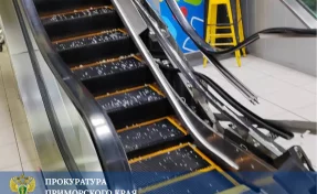 В Приморье 4-летней девочке затянуло руку в эскалатор