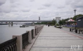 Мужчина пешком дошёл из Бийска в Новосибирск