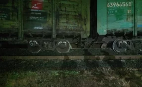 В Ленобласти после схода вагонов задержали пассажирский и 17 грузовых поездов 