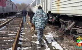 В Кузбассе на железной дороге полицейские обнаружили иностранца без документов