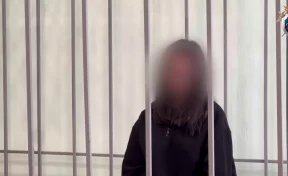 Суд арестовал 18-летнюю жительницу Сургута по делу о похищении подростка