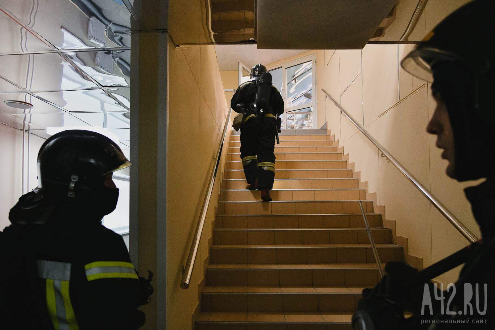 В Москве пожарные спасли из горящей квартиры двух кошек и хомяка