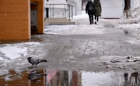 Ефимов день: народные приметы на 24 марта